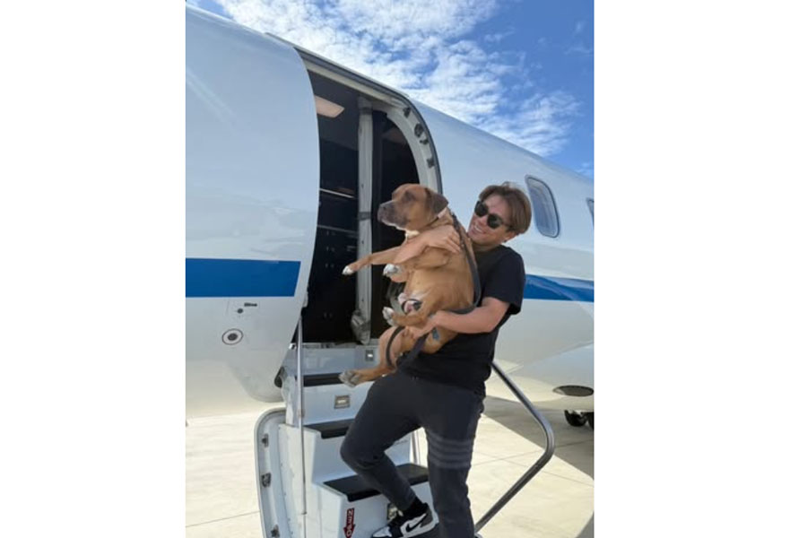 ドジャース・山本由伸がSNSで愛犬を公開（画像はスクリーンショット）