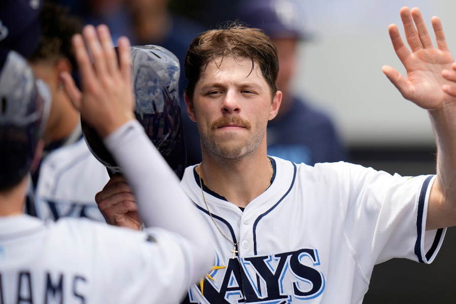 レイズのハンター・フェドゥーシア【写真：アフロ】