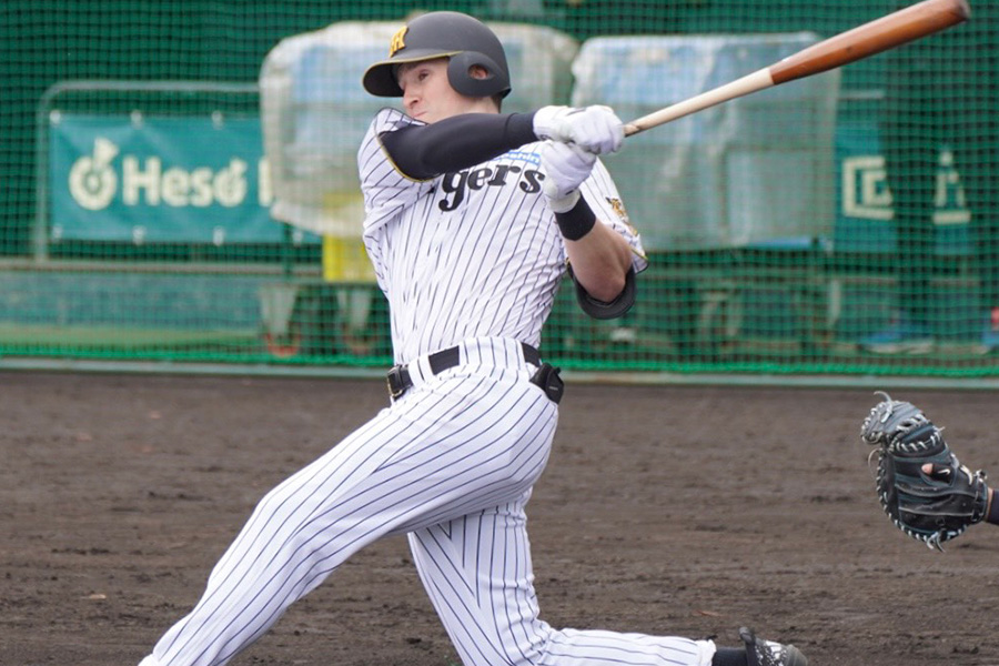 シート打撃に参加した阪神のキャム・ディベイニー【写真：宮脇広久】