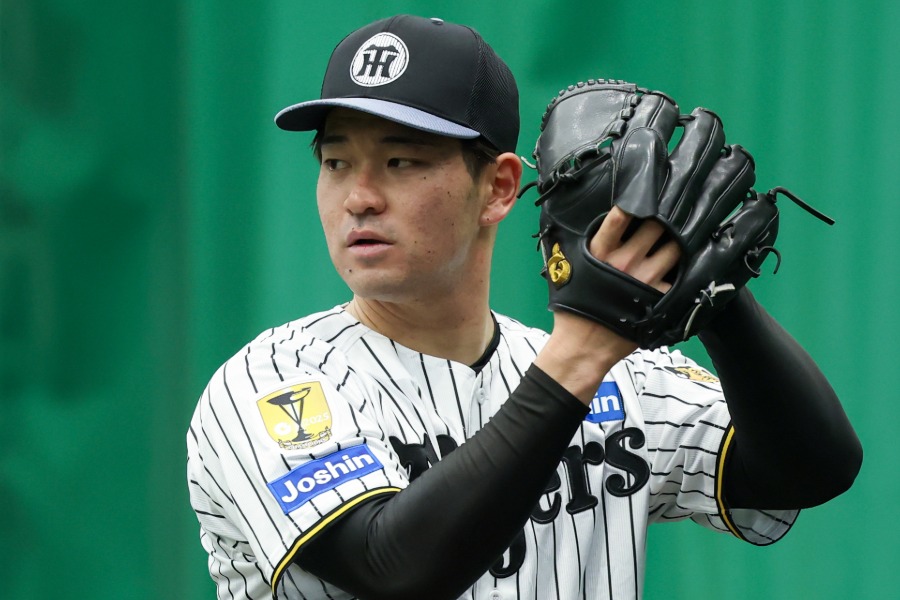 阪神・伊藤稜【写真：加治屋友輝】