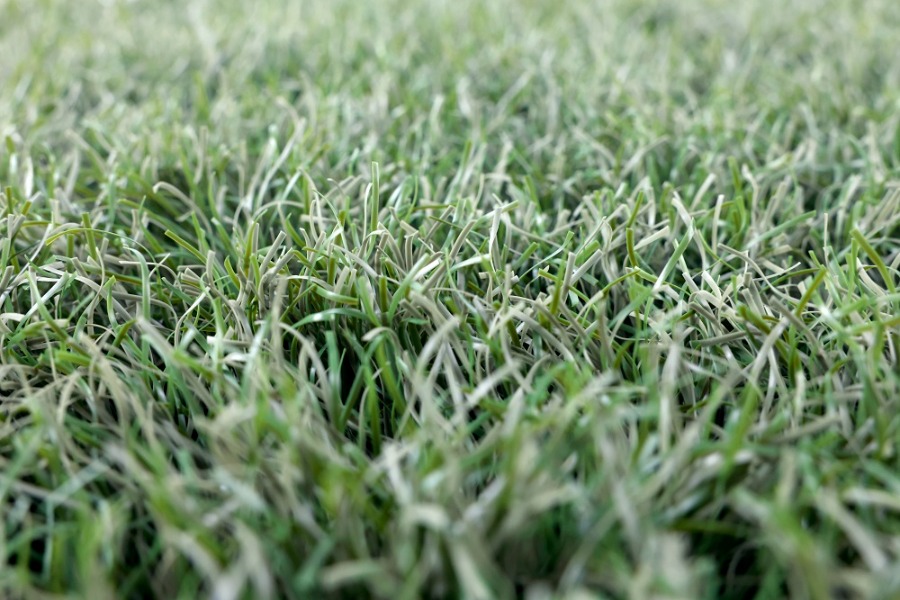 バンテリンドームで採用された人工芝【写真提供：ミズノ株式会社】