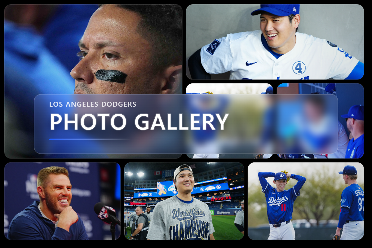 フォトギャラリー