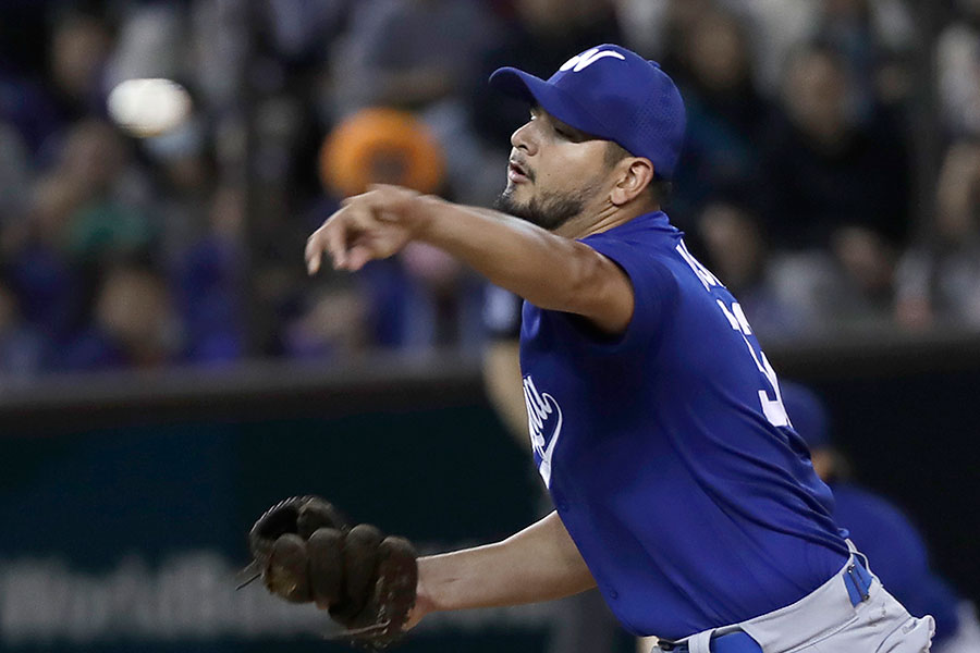 ディルマー・メヒア