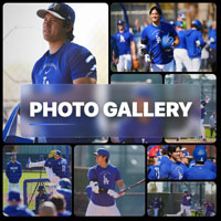 フォトギャラリー