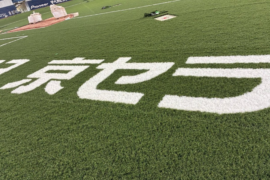 全体が緑と白になった人工芝【写真提供：京セラドーム大阪】