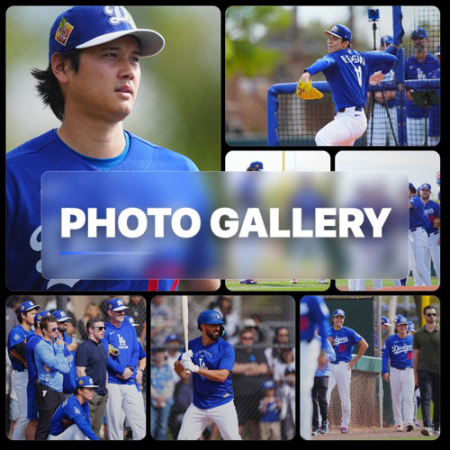 フォトギャラリー