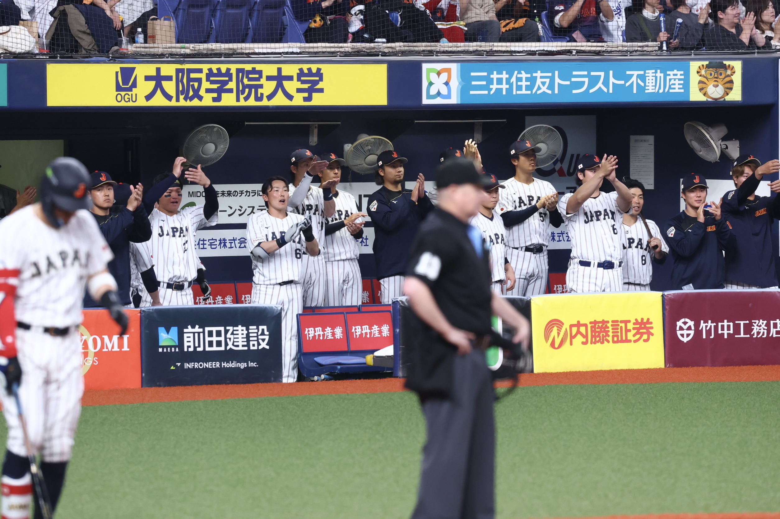 侍ジャパンのベンチ【写真：加治屋友輝】