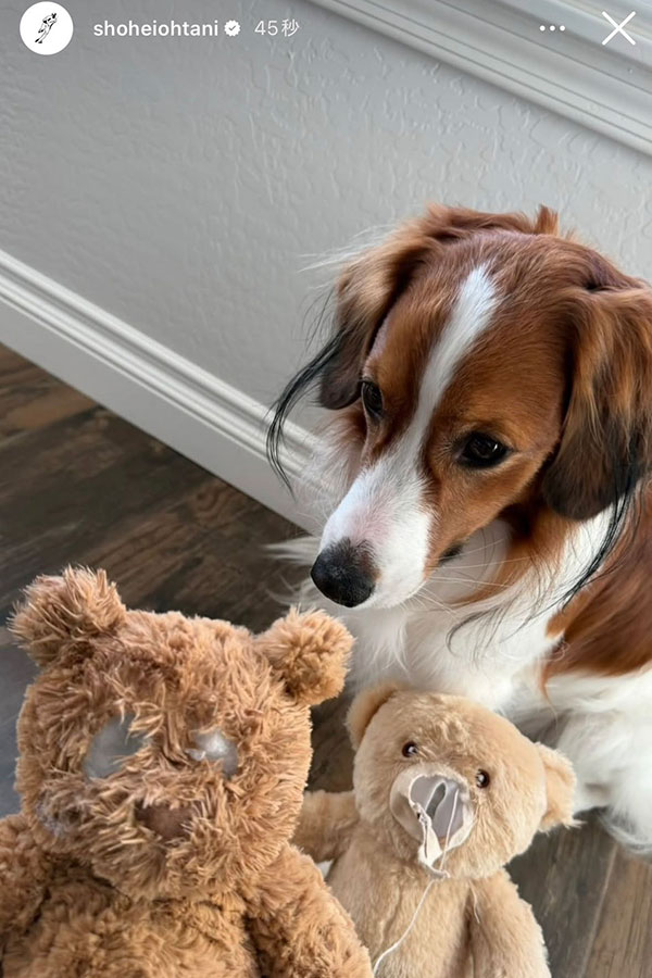 大谷が投稿したデコピンの写真（画像はスクリーンショット）