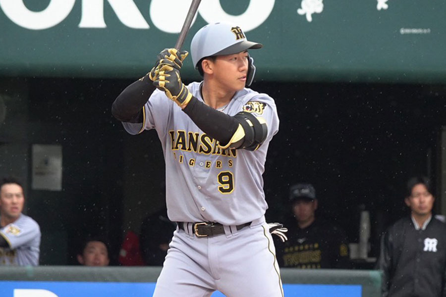 阪神・立石正広【写真：竹村岳】