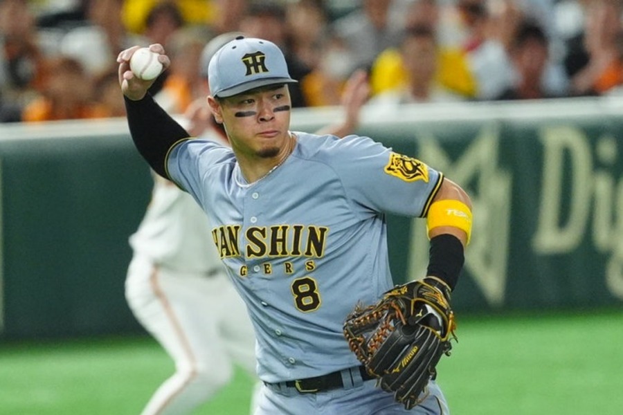 阪神・佐藤輝明【写真：小林靖】