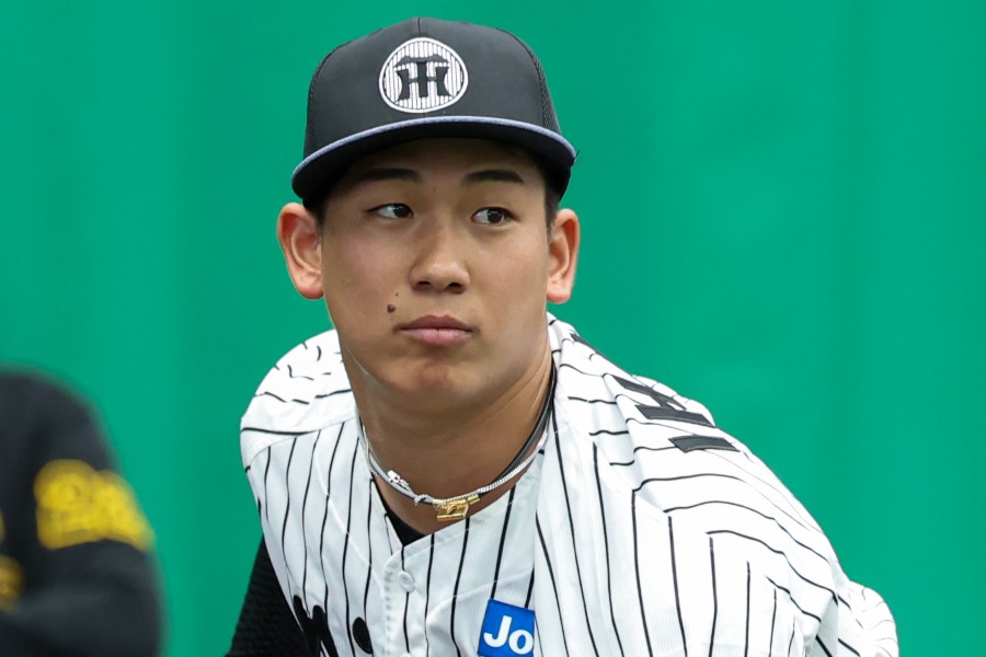 阪神・伊原陵人【写真：加治屋友輝】