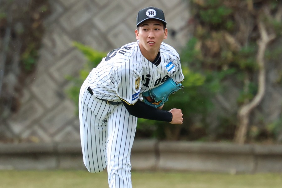 阪神・今朝丸裕喜【写真：加治屋友輝】