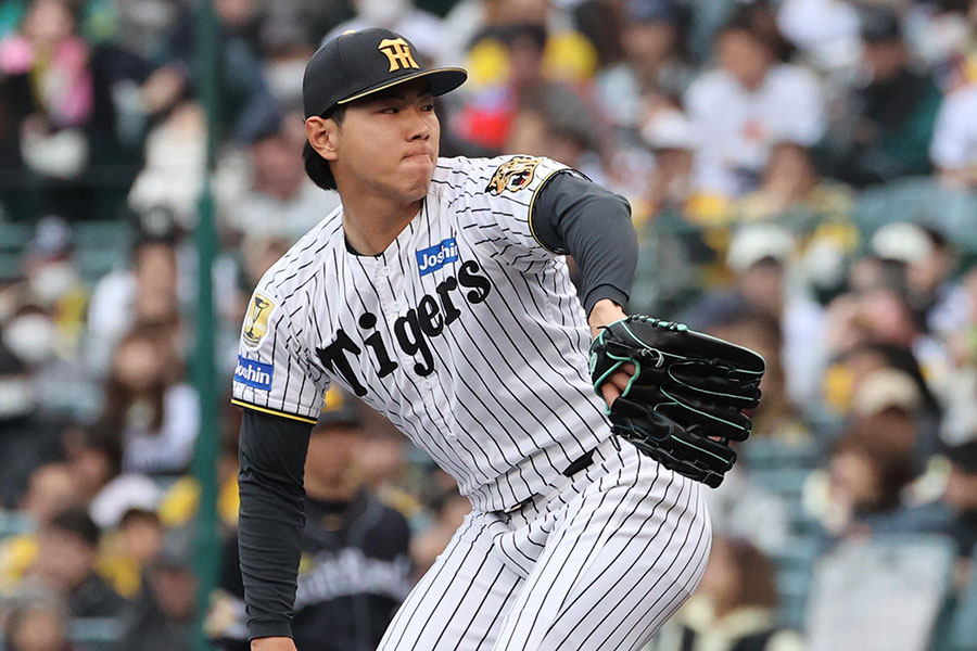 阪神・工藤泰成【写真：栗木一考】