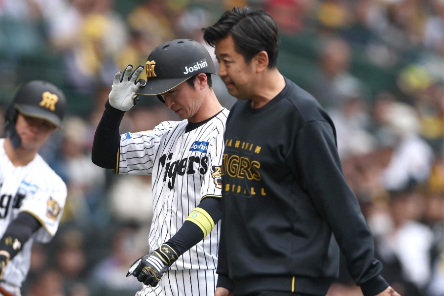 死球を受けベンチに下がった阪神・近本光司【写真提供：産経新聞社】