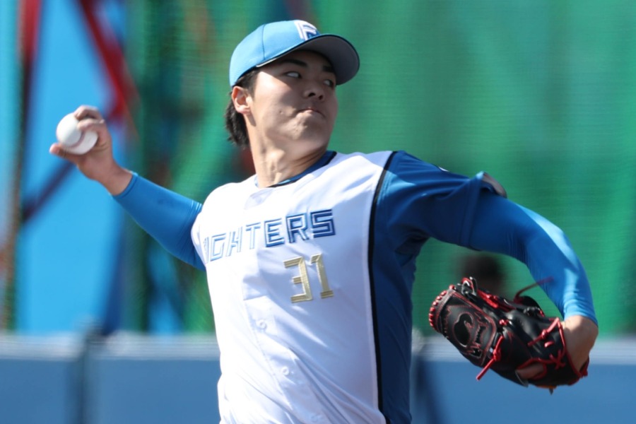 日本ハム・柴田獅子【写真提供：産経新聞社】