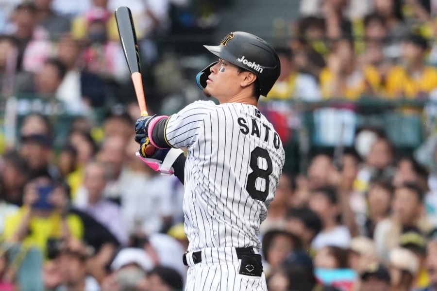 阪神・佐藤輝明【写真：小林靖】