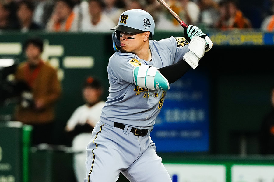 阪神・佐藤輝明【写真：黒澤崇】