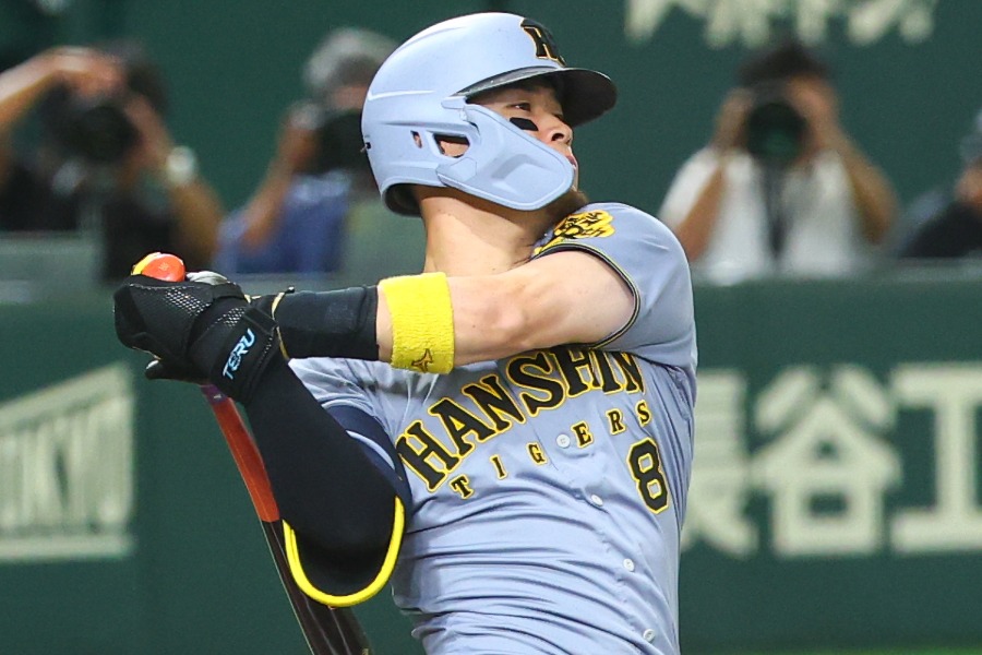 阪神・佐藤輝明【写真：加治屋友輝】