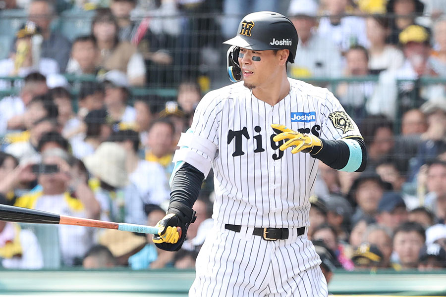 阪神・佐藤輝明【写真：栗木一考】