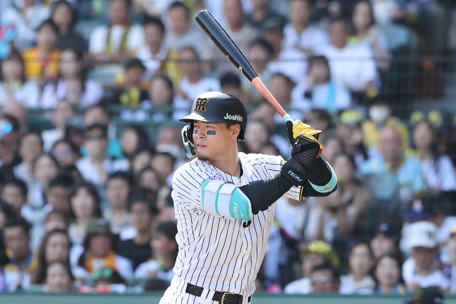阪神・佐藤輝明【写真：栗木一考】
