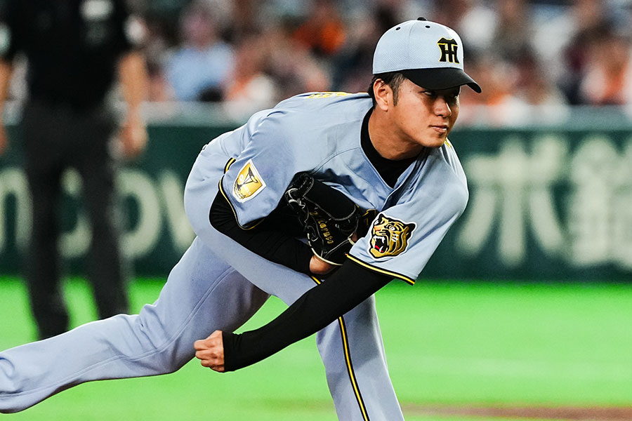 阪神・高橋遥人【写真：黒澤崇】