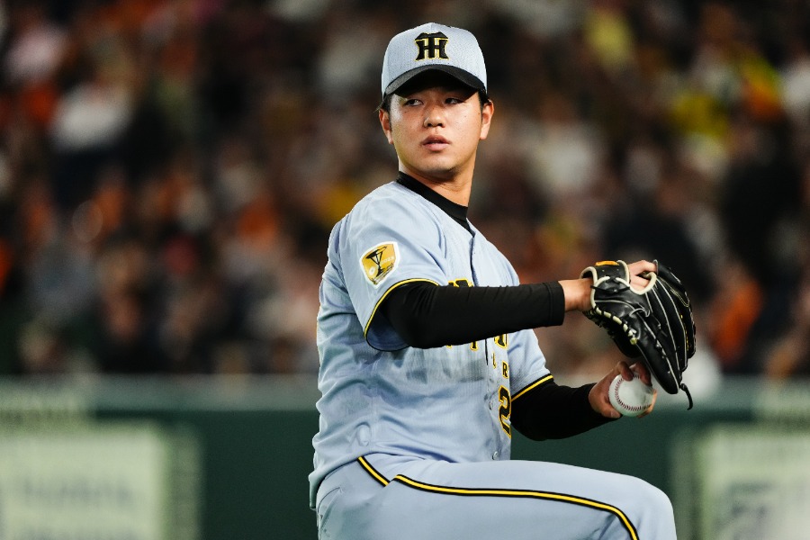 阪神・高橋遥人【写真：黒澤崇】
