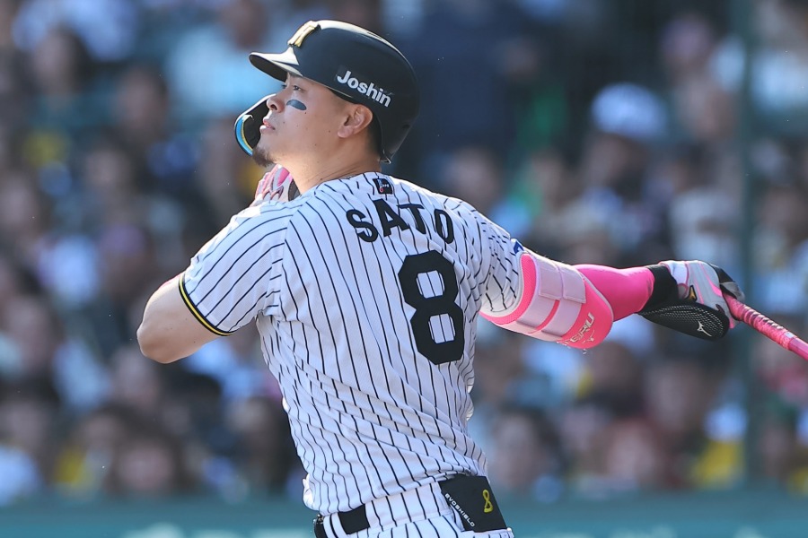DeNA戦で本塁打を放った阪神・佐藤輝明【写真提供：産経新聞社】