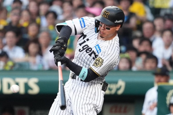 阪神・佐藤輝明【写真:小林靖】