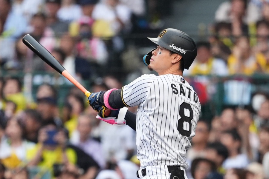 阪神・佐藤輝明【写真：小林靖】