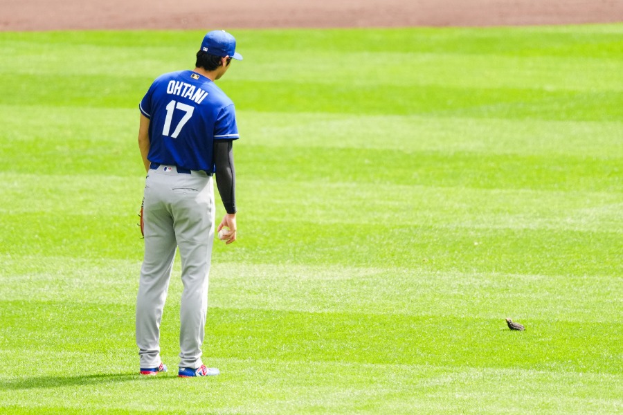 小鳥を見つめるドジャース・大谷翔平【写真：黒澤崇】
