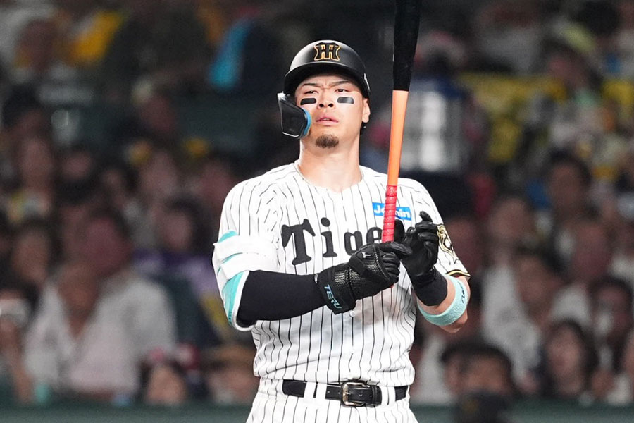 阪神・佐藤輝明【写真：小林靖】
