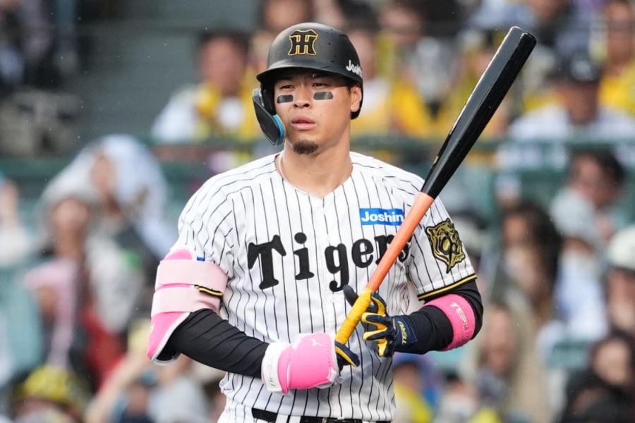 阪神・佐藤輝明【写真：小林靖】