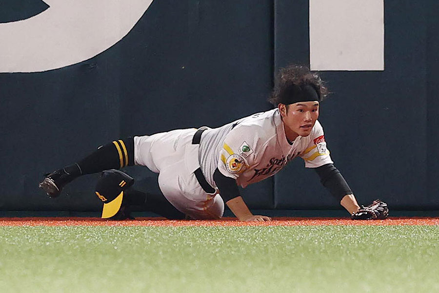 打球を追いフェンスへ激突したソフトバンク・山本恵大【写真：栗木一考】