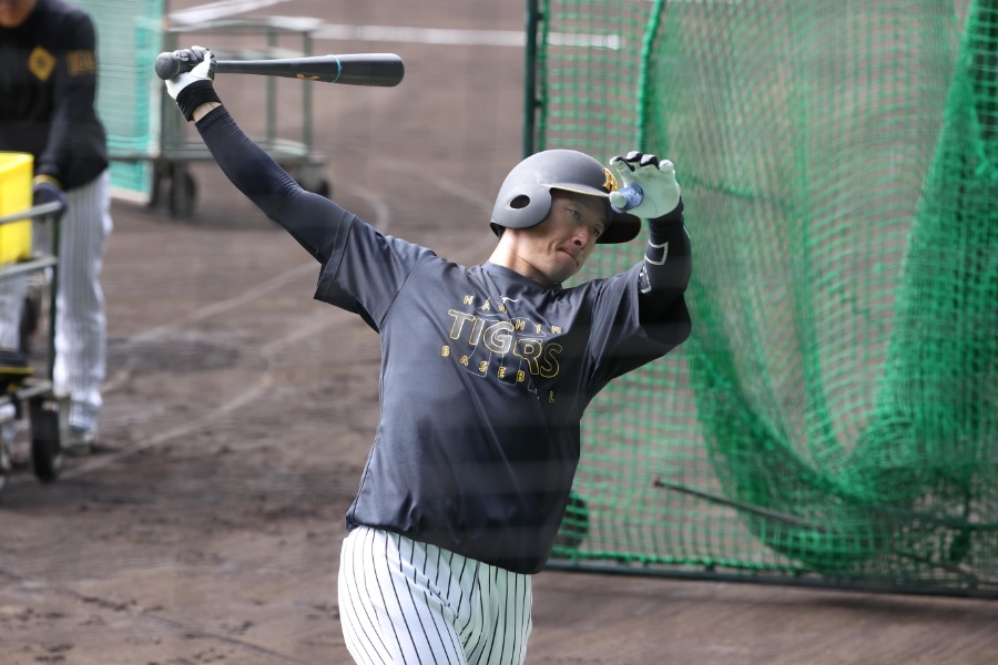 阪神・近本光司【写真：栗木一考】