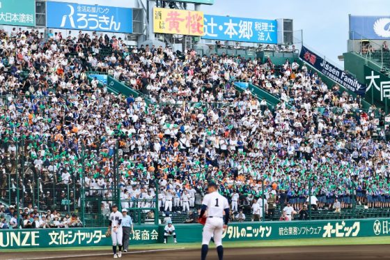 完売品‼️入手困難❗甲子園球場限定‼️期間限定品❗ 【サヨナラ勝ち】 値下げ不可 完売品‼️入手困難❗甲子園球場限定‼️期間限定品❗ 【サヨナラ勝ち