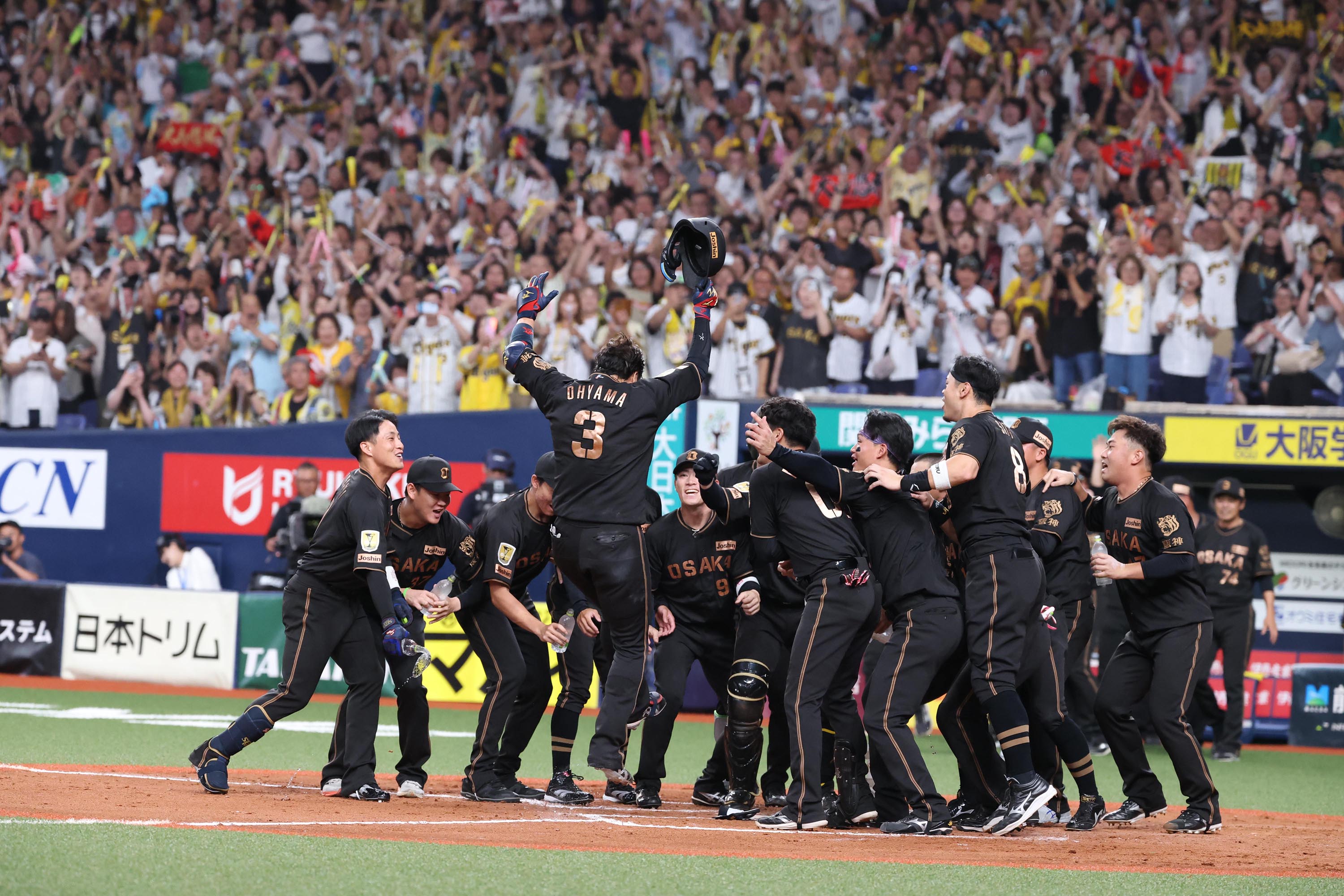 サヨナラ勝利に喜ぶ阪神ナイン【写真:栗木一考】