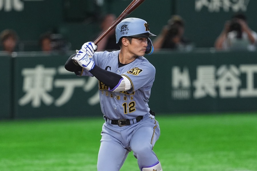 阪神・坂本誠志郎【写真：小林靖】