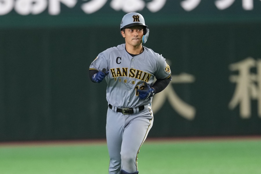阪神・坂本誠志郎【写真：小林靖】
