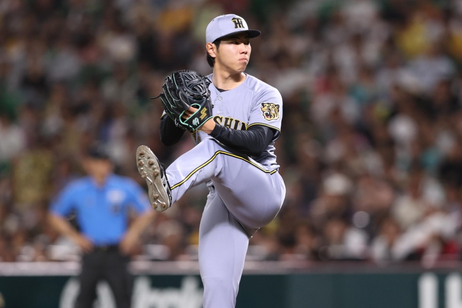 阪神・工藤泰成【写真：栗木一考】