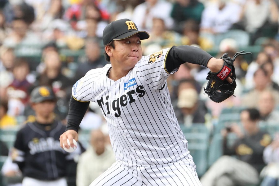 阪神・村上頌樹【写真：栗木一考】