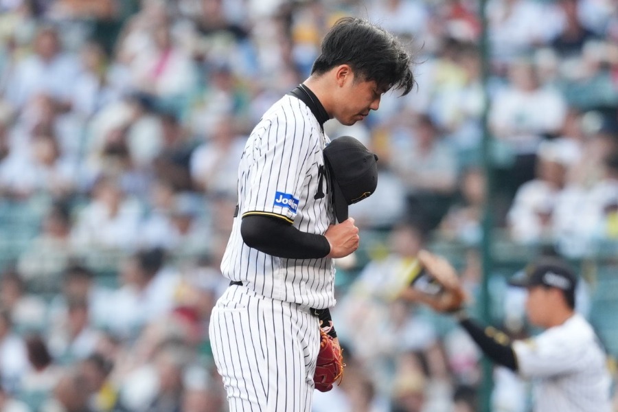 阪神・才木浩人【写真：小林靖】