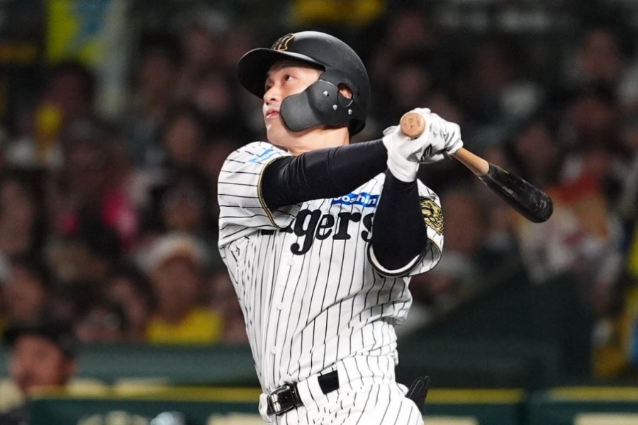 阪神・坂本誠志郎【写真：栗木一考】