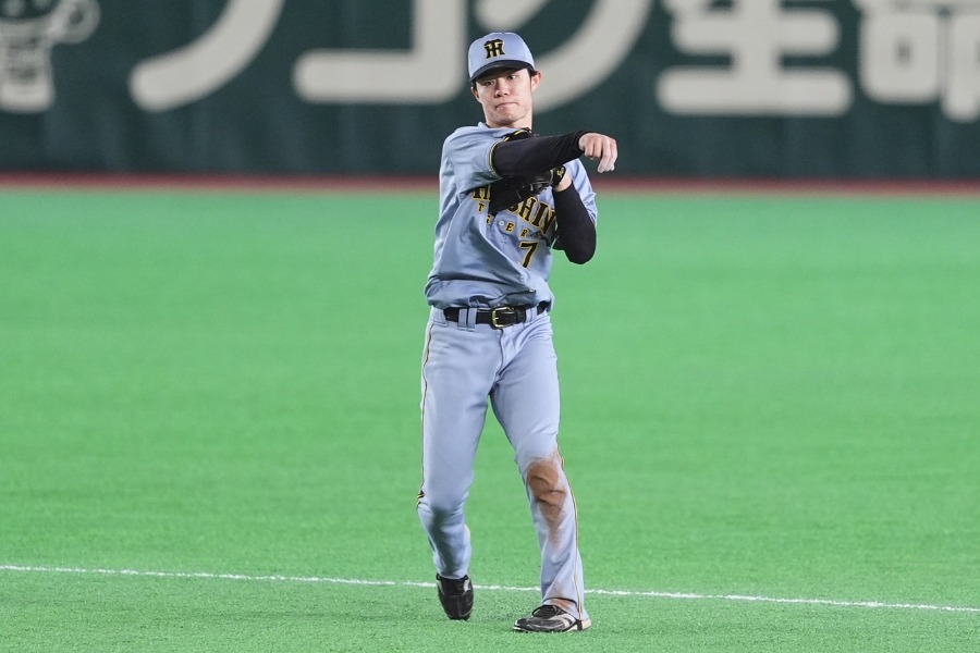 阪神・中野拓夢【写真：小林靖】