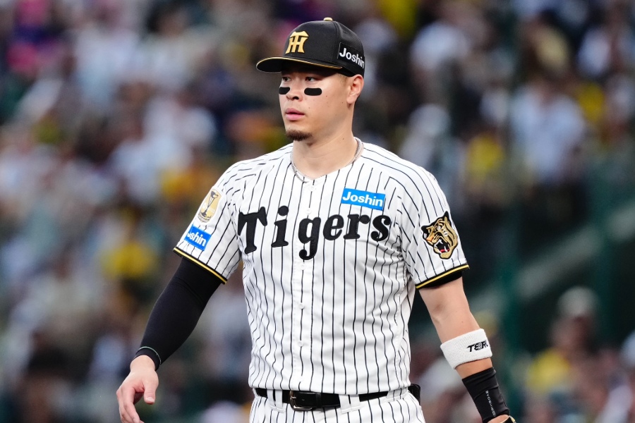 DeNA戦に出場した阪神・佐藤輝明【写真：黒澤崇】