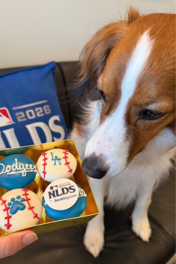 大谷翔平がインスタグラムのストーリーズを更新(画像はスクリーンショット)