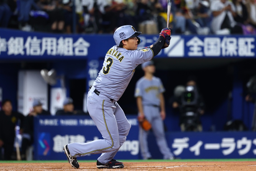 阪神襲来でスタンド“真っ二つ”「おかしいでしょ」 くっきり2色「ハマスタ甲子園」