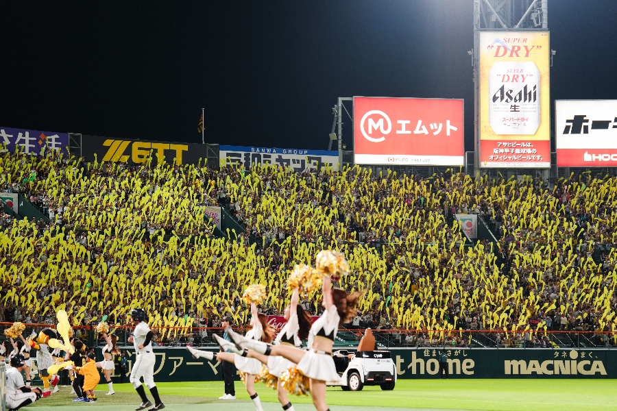 藤浪晋太郎が阪神-広島戦を観戦（写真はイメージ）【写真：黒澤崇】