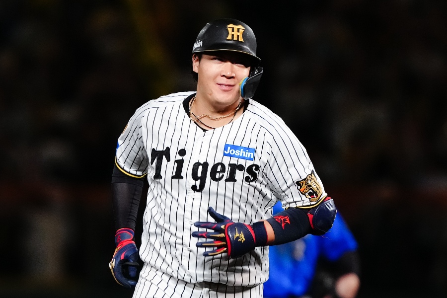 阪神・大山悠輔【写真：黒澤崇】