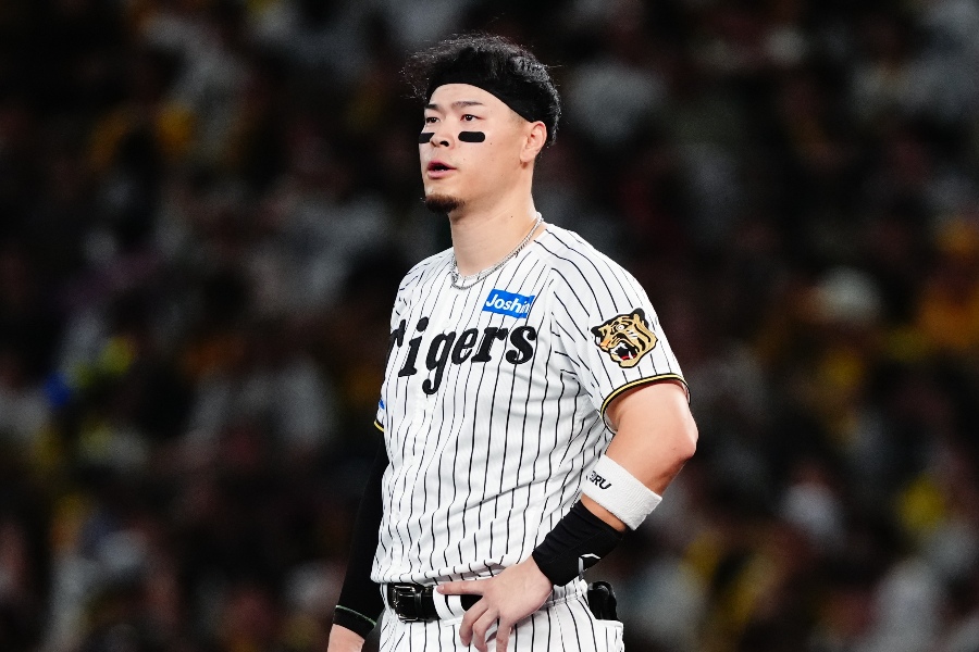 阪神・佐藤輝明【写真:黒澤崇】