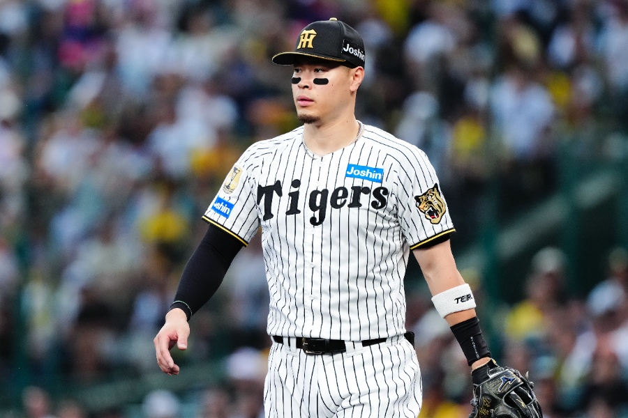 阪神・佐藤輝明【写真:黒澤崇】